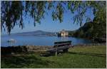 Sommer am Genfersee  (27.06.2014)