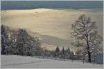 Winter am Genfersee  (21.01.2015)