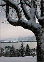 Winterstimmung am Genfersee.