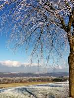 . Ein winterliche Blick von Heiderscheid in Richtung Goesdorf. 20.01.2015 (Jeanny)