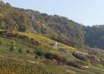 Herbst an der Mosel.