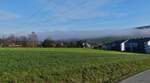 Aus einem andern Blickwinkel eine ¼  Stunde später sieht man die Nebelwand über dem Tal am Waldrand, aufgenommen in der Nähe von Wiltz. 17.12.2023 13.18