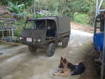 (211'585) - Steyr-Puch - CL 290'139 - mit Hund am 18.