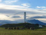 (191'860) - Leuchtturm und K�he am 29.