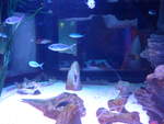 (190'414) - Im Sea Life am 19.