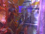(190'467) - Im Sea Life am 19.