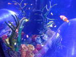 (190'495) - Im Sea Life am 19.