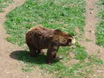 (181'570) - B�r im Jurapark am 25.