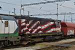 Diesellok CZ-TLSSK 92 54 2742 167-0 eingereiht in einem Gterzug hinter der Lok, aufgenommen bei der Durchfahrt des Bahnhofs Bratislava.