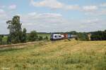 761 005 zieht über das Röslau-Viadukt von Seußen ein Elbtal-Umleiter in Richtung Marktredwitz, am Zug Ende schiebt 761 004.