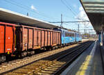 Der vierachsige Drehgestell-Hochbordwagen, 31 54 5949 636-2  CZ - ČDC, der Gattung Eas (51, 54) der ČD Cargo / České dráhy Cargo (Tschechische Bahnen Cargo), am 19 April 2023