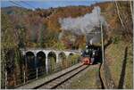  La DER 2021  (Saison Abschluss 2021) der Blonay Chamby Bahn mit der G 2x 2/2 N° 105 bei Vers chez Robert mit dem Baye de Clarens Viadkut im Hintergrund.