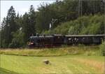 Fahrtag im Zrcher Oberland.