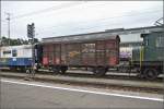 Ganz vorn im Swisstrainzug ist dieser knapp 10 m lange gedeckte Güterwagen (21 85 137 3 299).