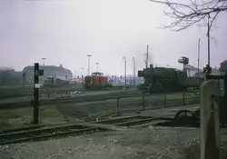 Internationale Lokomotivszene am Bahnhof von Singen (Hohentwil): Links SBB Bm6/6 18513, Mitte DB-Diesellok 211 347 und rechts DB-Dampflok 50 503.