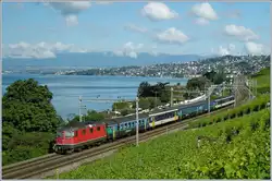 Eine SBB Re 4/4 II fährt mit einer bunten Wagengarnitur bestehend aus EW I und EW II bei Cully Richtung Lausanne.