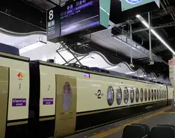 Der Nankai-Privatkonzern, die japanische Partnerbahn der MOB - Der Goldenpass Express, Zug 50504: Wagen 2 des Zuges.